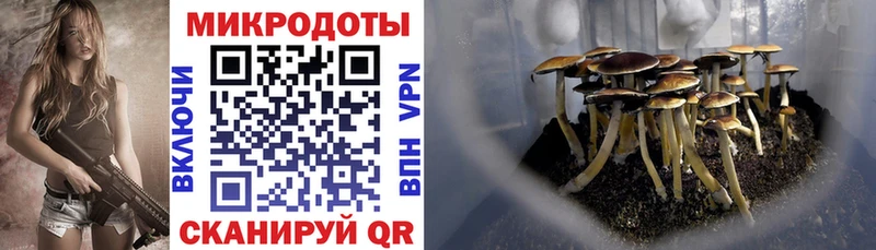Галлюциногенные грибы мухоморы  Стрежевой 